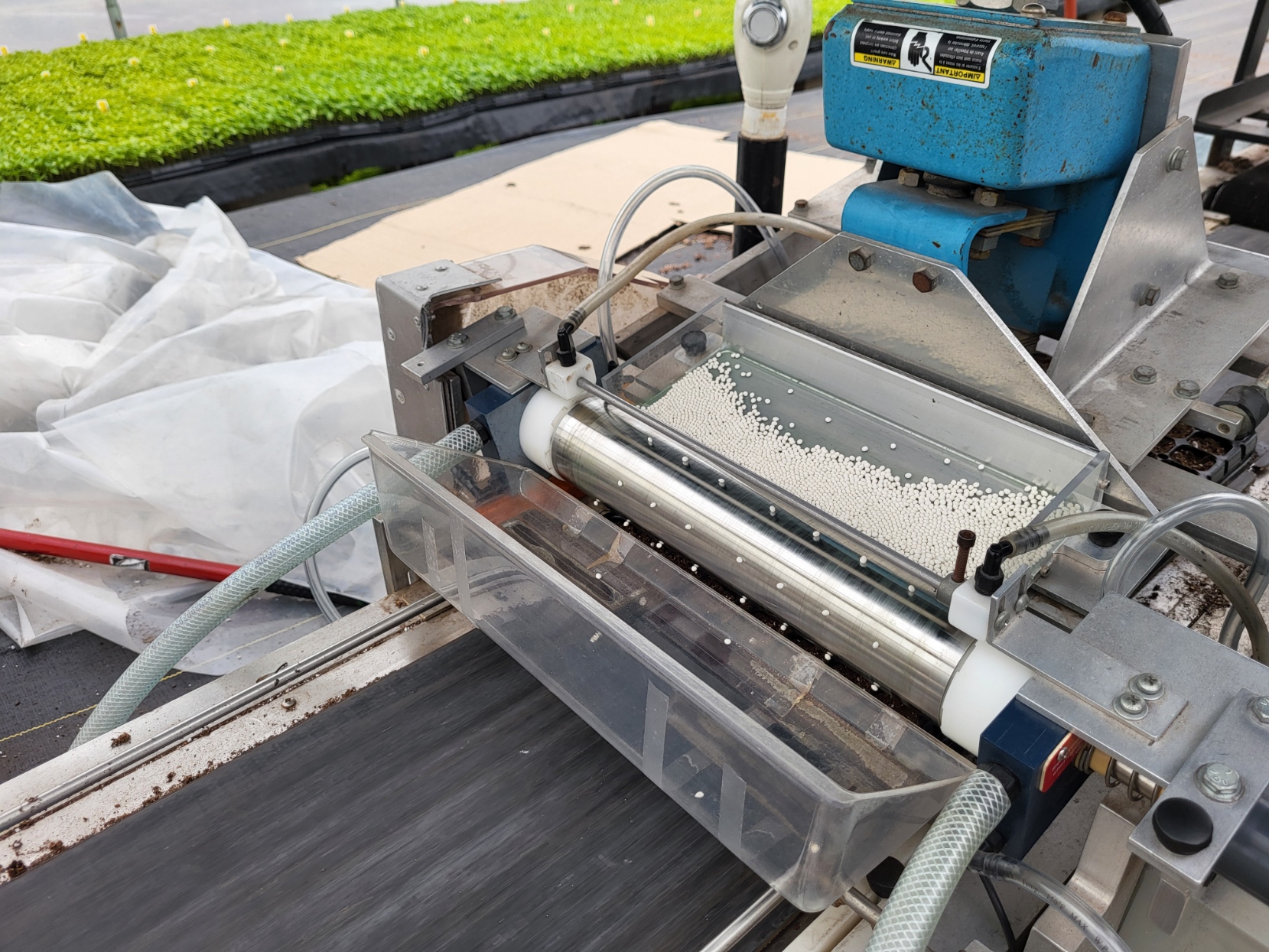 A drum seeder completing the seeding of a flat with pelleted pepper seed.